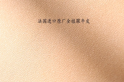 Imported Original Leather factory photos第 7 张实拍